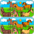 Animals Differences