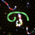 Snake Is 