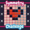 Symmetry Challenge